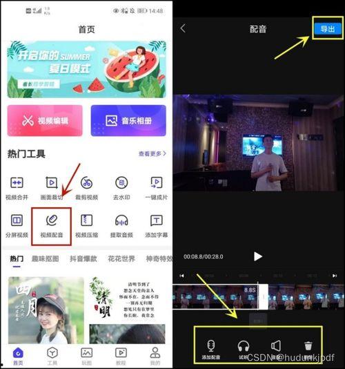 吃瓜神器自制视频下载软件,自制视频下载软件操作指南