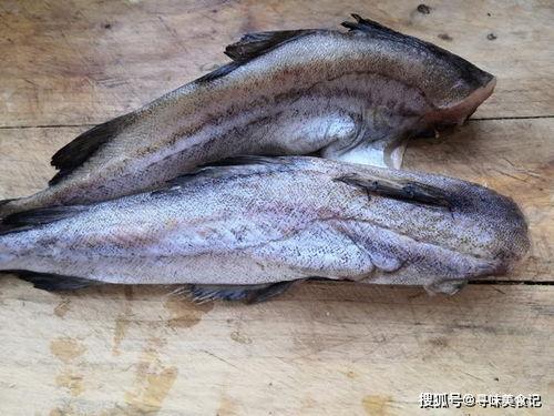 林大仙吃八瓜鱼视频,趣味烹饪大揭秘！