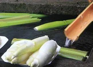 吃茭瓜菜的小朋友视频,小朋友们的快乐食光