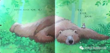 熊吃蜜瓜的故事视频,一场甜蜜的冒险与智慧的对决