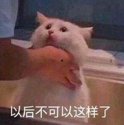 吃瓜视频朝阳群众,吃瓜视频中的社区守望者