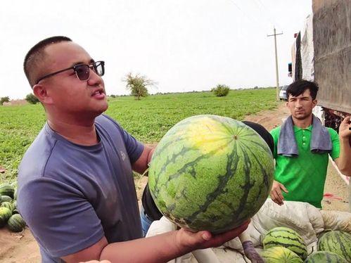 温江吃瓜新闻事件视频,一场引发热议的社区事件视频回顾