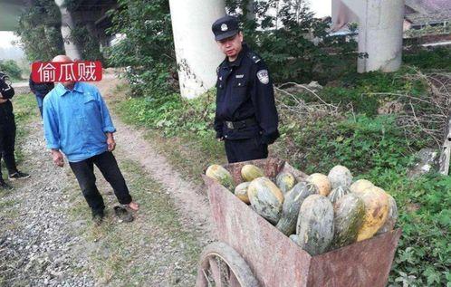 大城县三大吃瓜事件视频,揭秘网络热议背后的真相