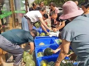 邳州小营事件吃瓜视频,吃瓜群众视角下的真相揭秘